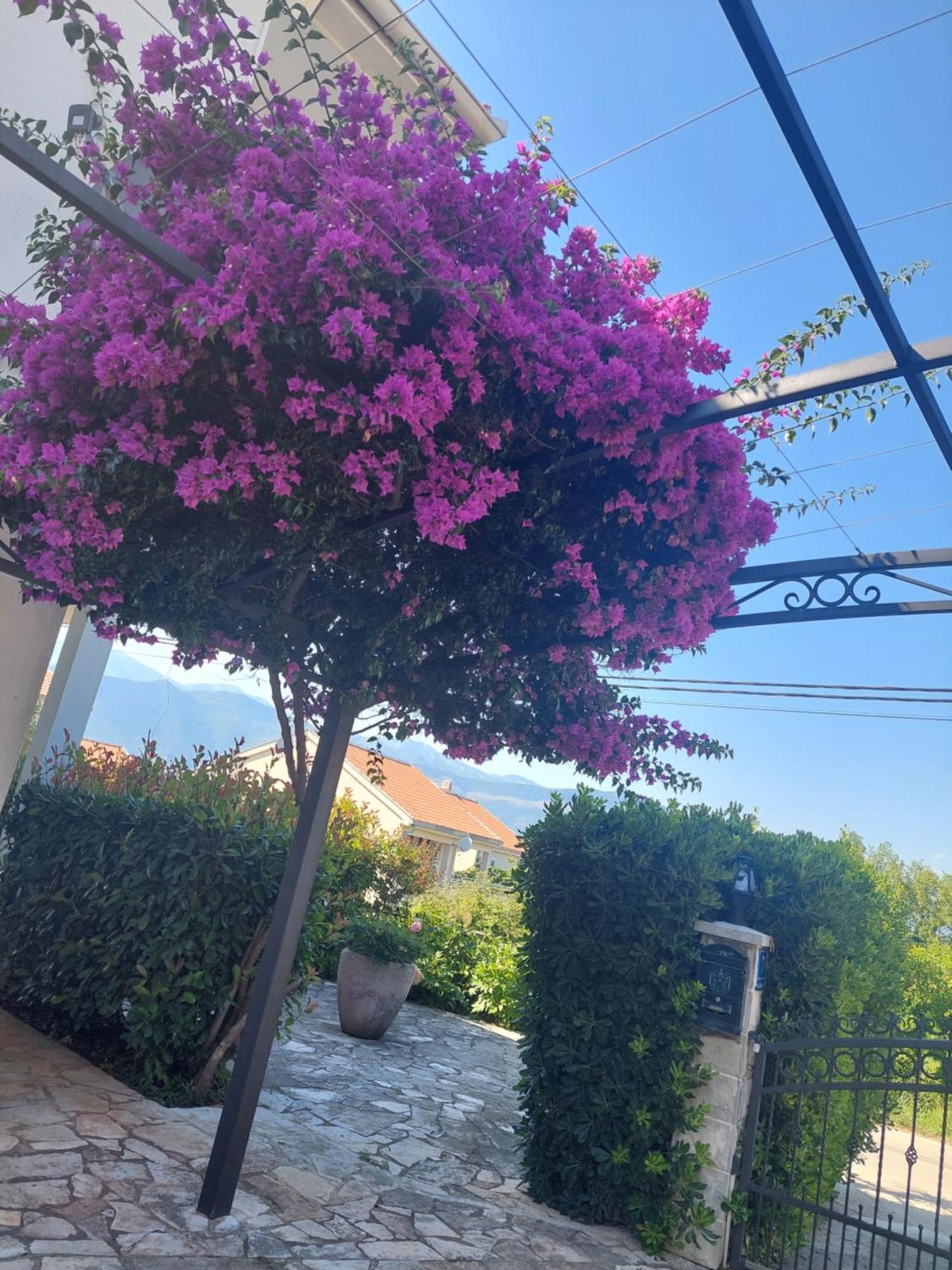 Kjara Apartments Tivat Kültér fotó