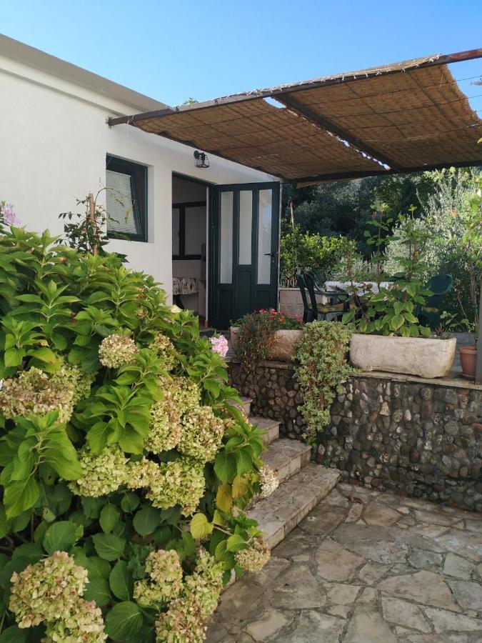 Kjara Apartments Tivat Kültér fotó